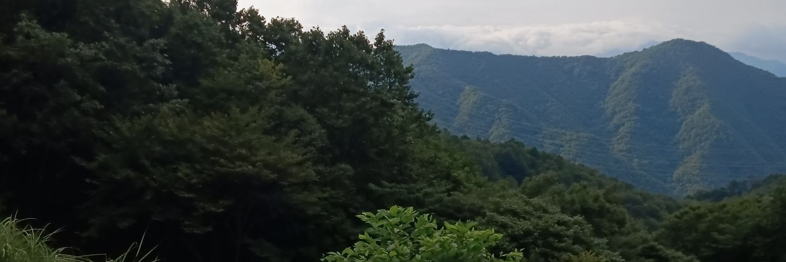 tennenno's profile banner image