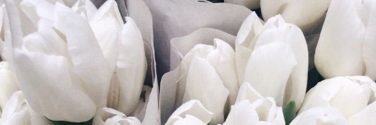 Sandyfierce_'s profile banner image