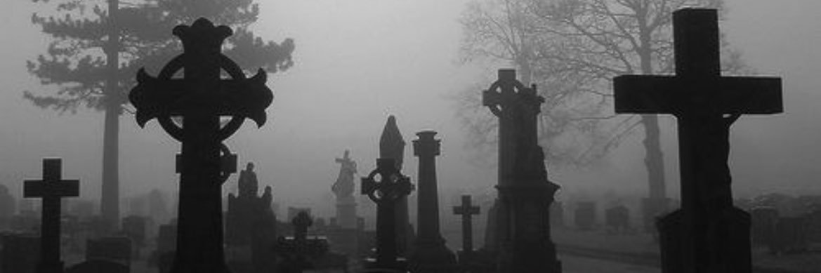 gothxqueen's profile banner image