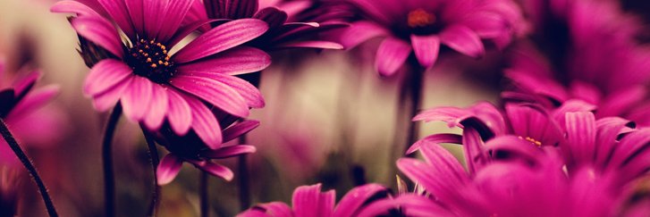 ErmergerdEm's profile banner image