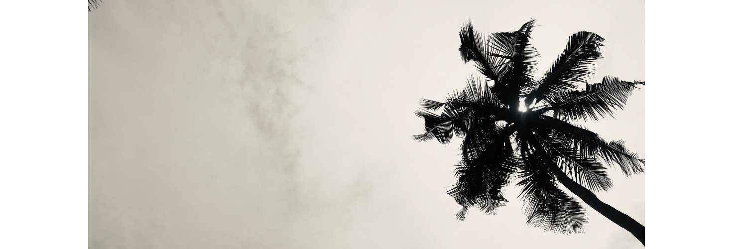 cobiernest's profile banner image