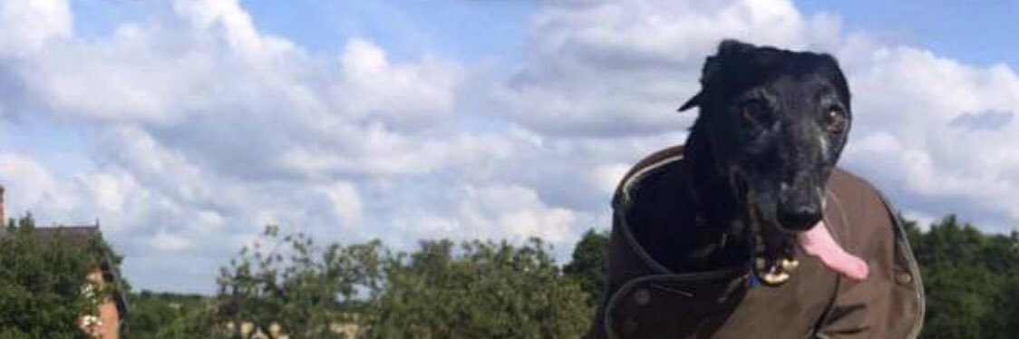 Richard Young banner