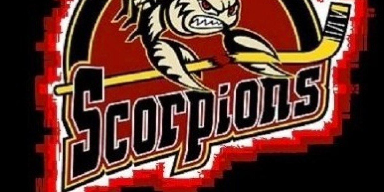 SolentScorpions's profile banner image