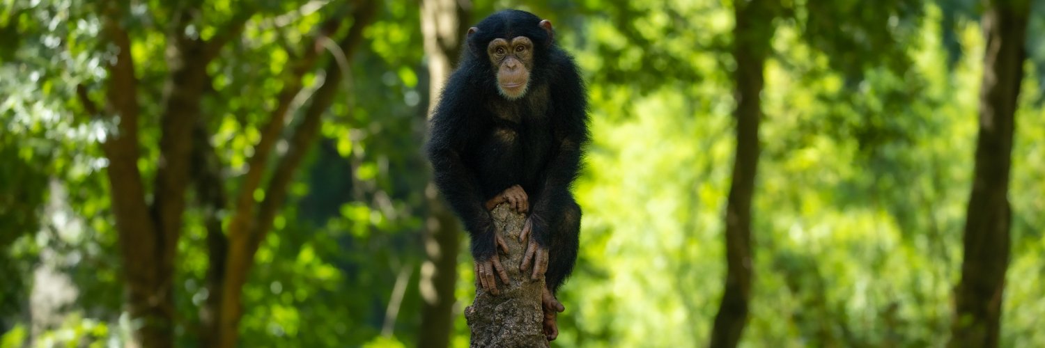 North Carolina Zoo banner