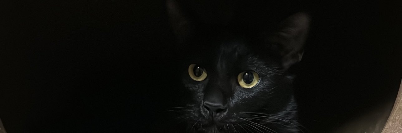 IMAIIMIMAA's profile banner image