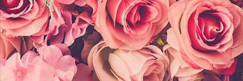 aliciaOTH's profile banner image