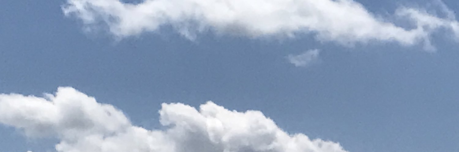 めえめえ banner