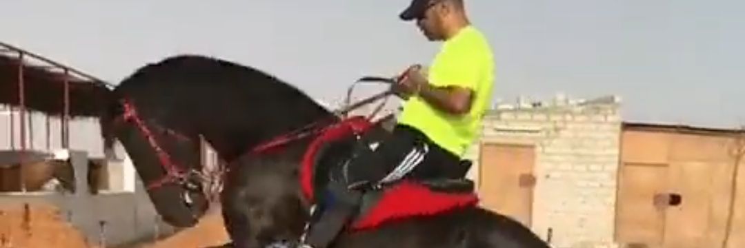 سَـنَدّ🐳🇸🇦SND🇩🇪المغيدي banner