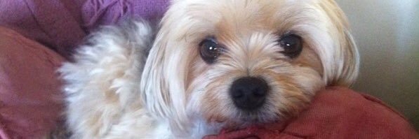 Kathereiine's profile banner image