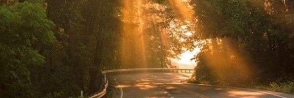 bbb_Gnnuch's profile banner image