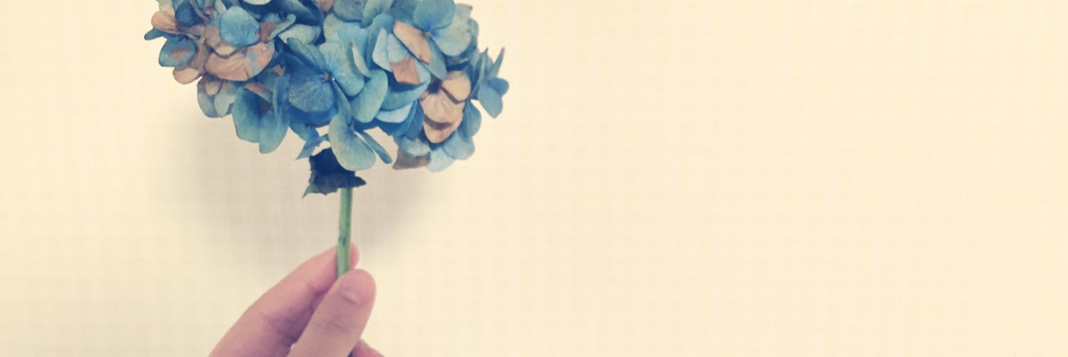 chihirotwth's profile banner image