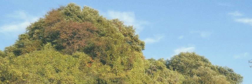 chisato_bear's profile banner image