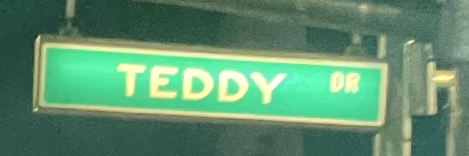teodor's banner