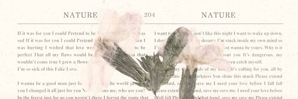 kornelcia ᥫ᭡. will see shawn mendes's banner