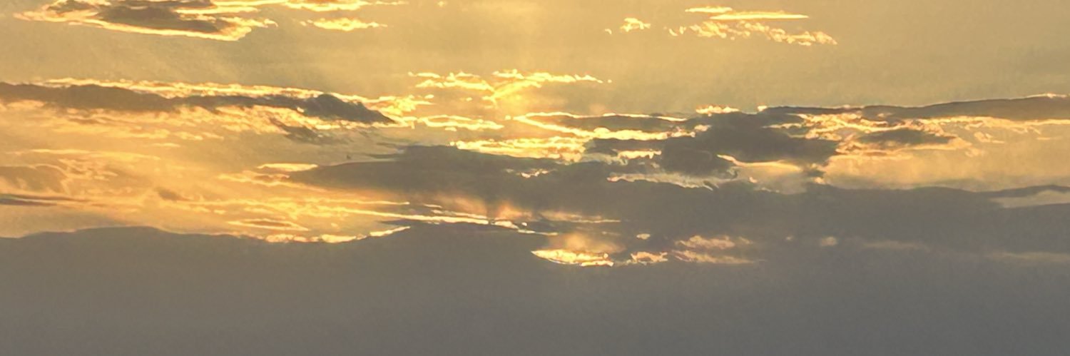 gulserenarli's profile banner image