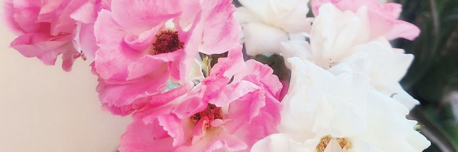 ندى banner