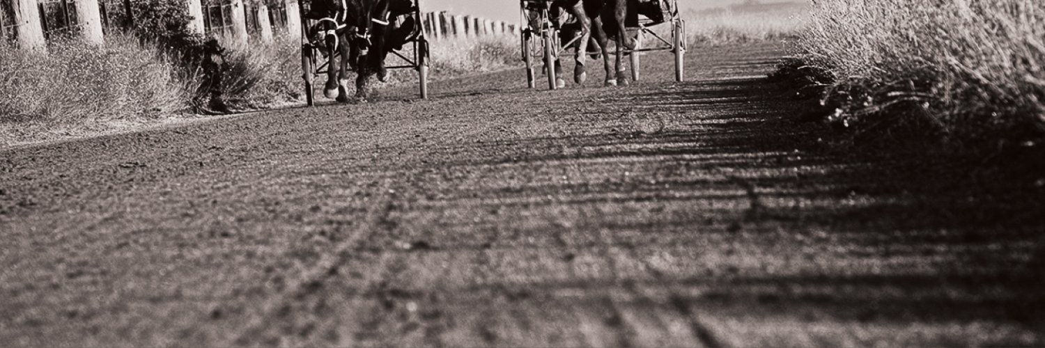 HRV Integrity Unit banner