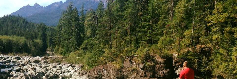 MackCook's profile banner image