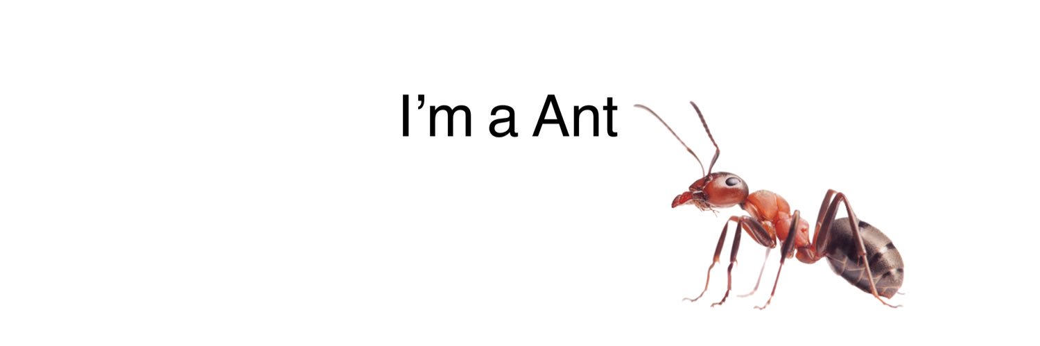 Ari🐜's banner