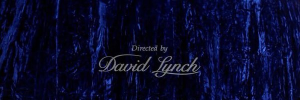 rea222boxd Profile Banner