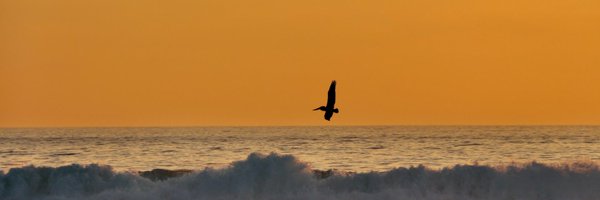 MarieDeRoy1 Profile Banner