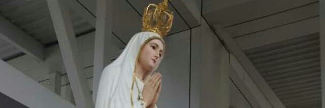 omeirabendjoya's profile banner image