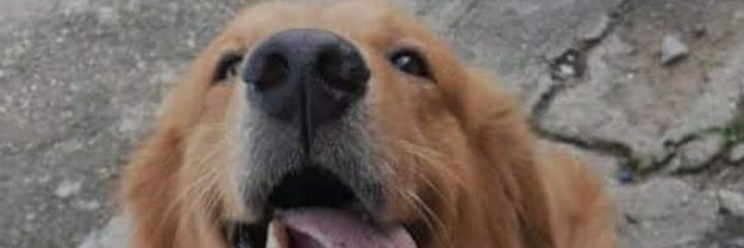 Anixh_'s profile banner image