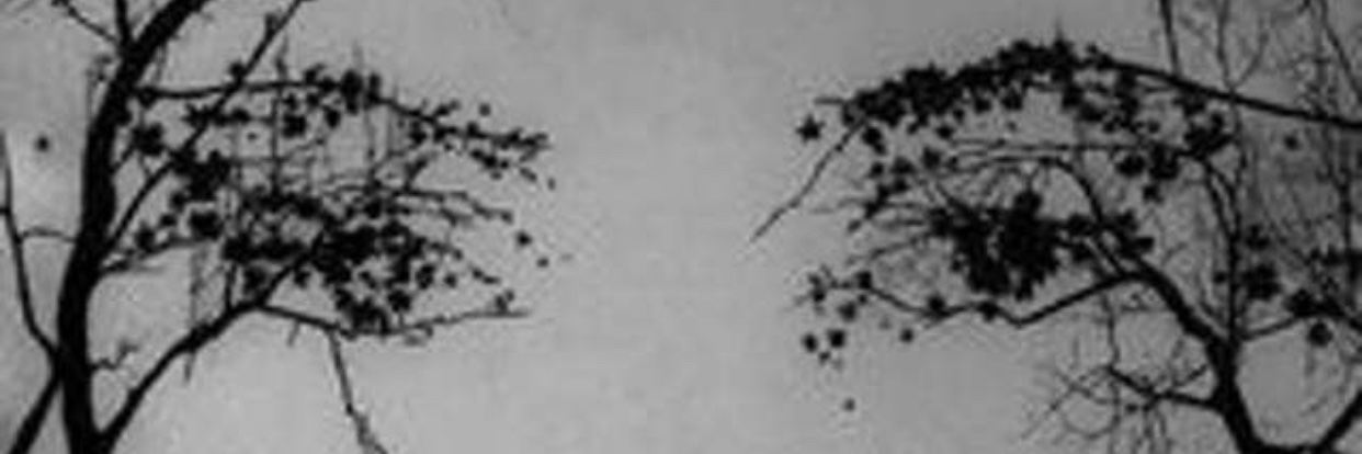 Bondibs10's profile banner image
