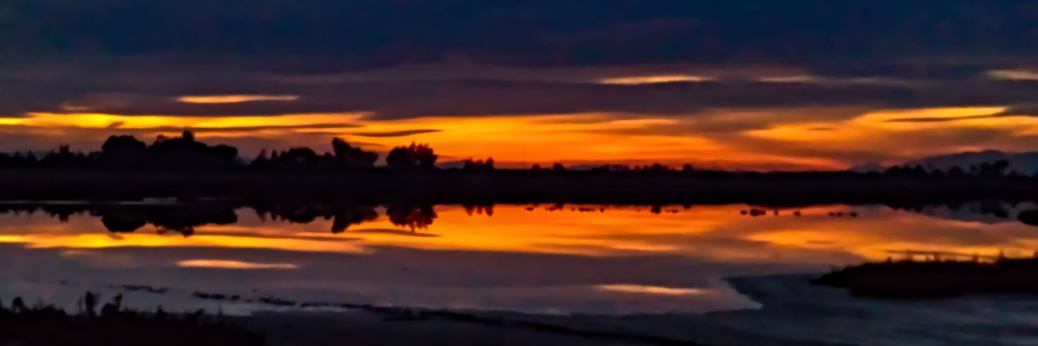 Yssel's profile banner image