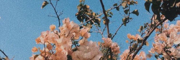 Bellaulya's profile banner image