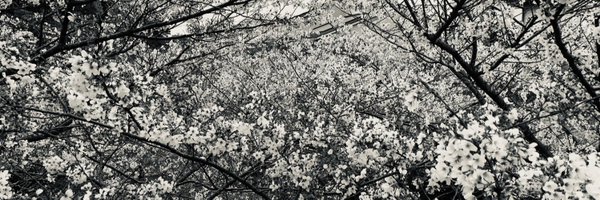 thedeepsleep_jp Profile Banner