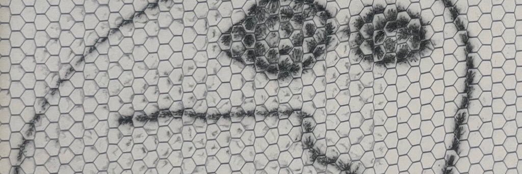 cpcancan's profile banner image