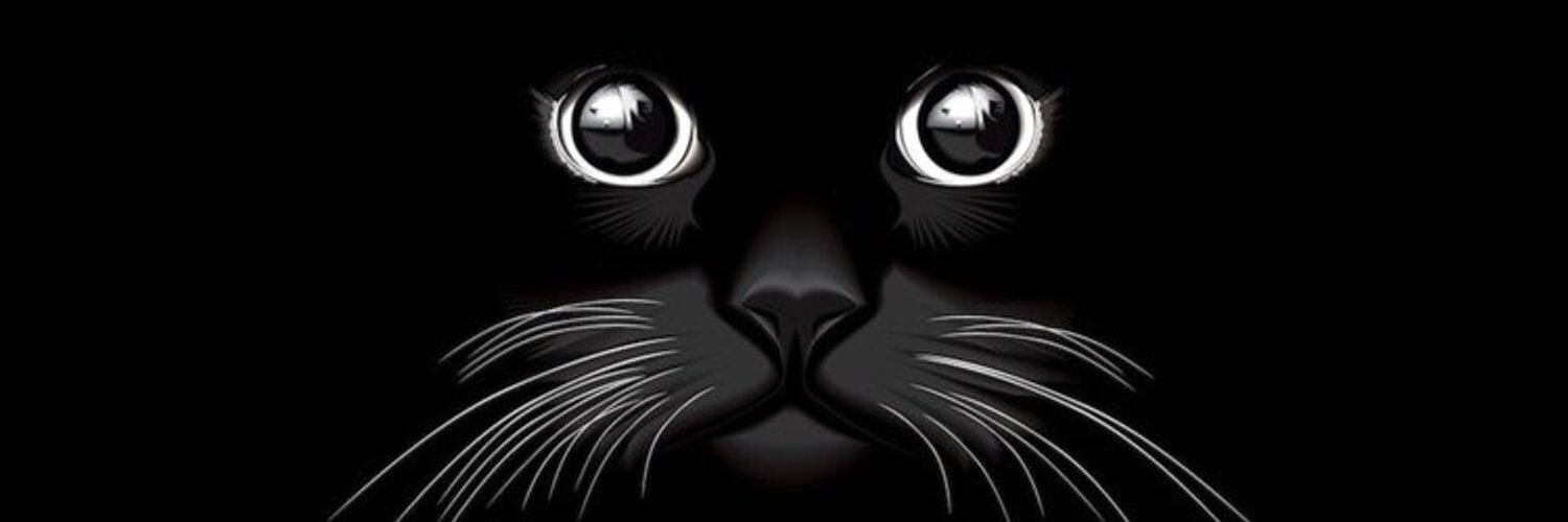 LAmertelkoon's profile banner image