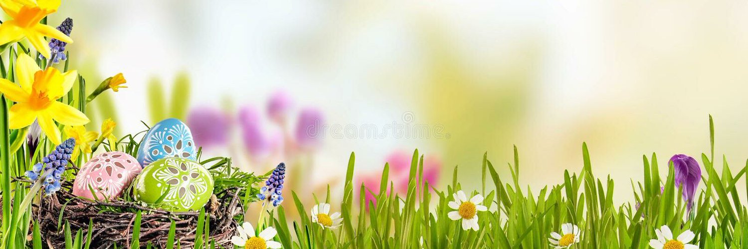 lebbruuheimcal's profile banner image