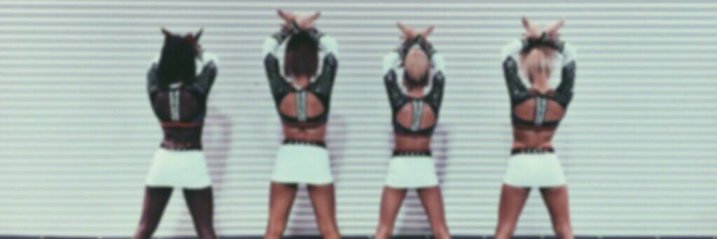fiercecheer210's profile banner image