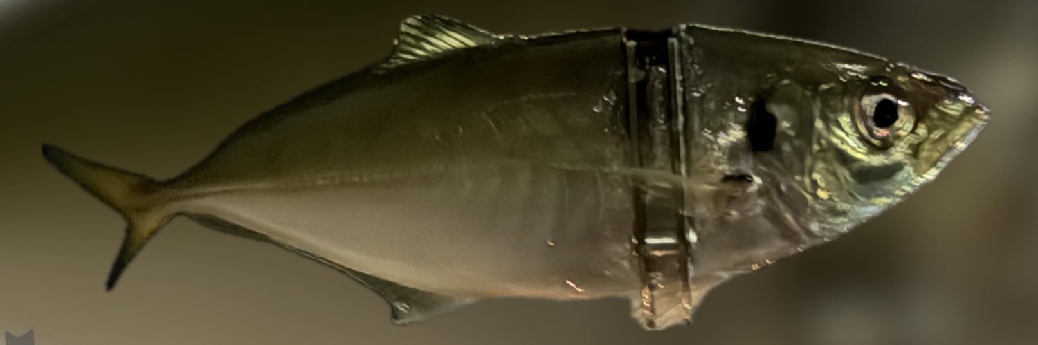 手稲の蒼い流星 banner