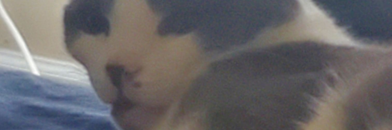 imMikeOTR's profile banner image
