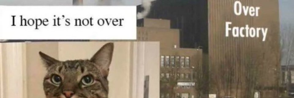 dreaprl banner