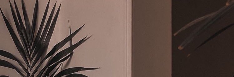 nsalftri's profile banner image