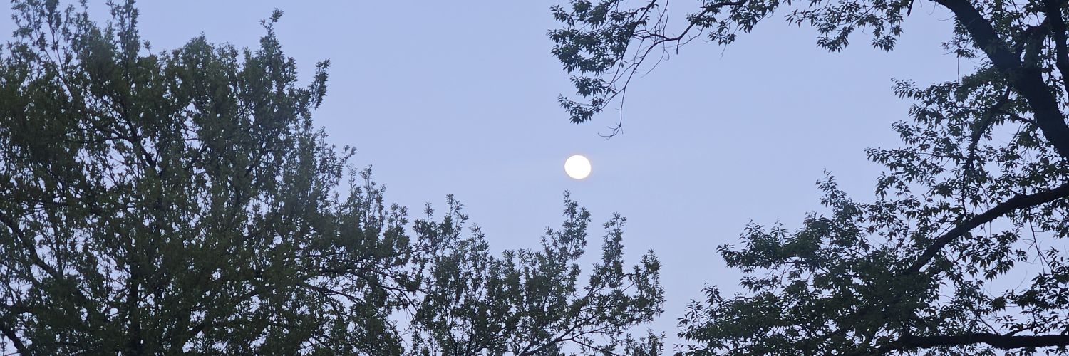 khandunam's profile banner image
