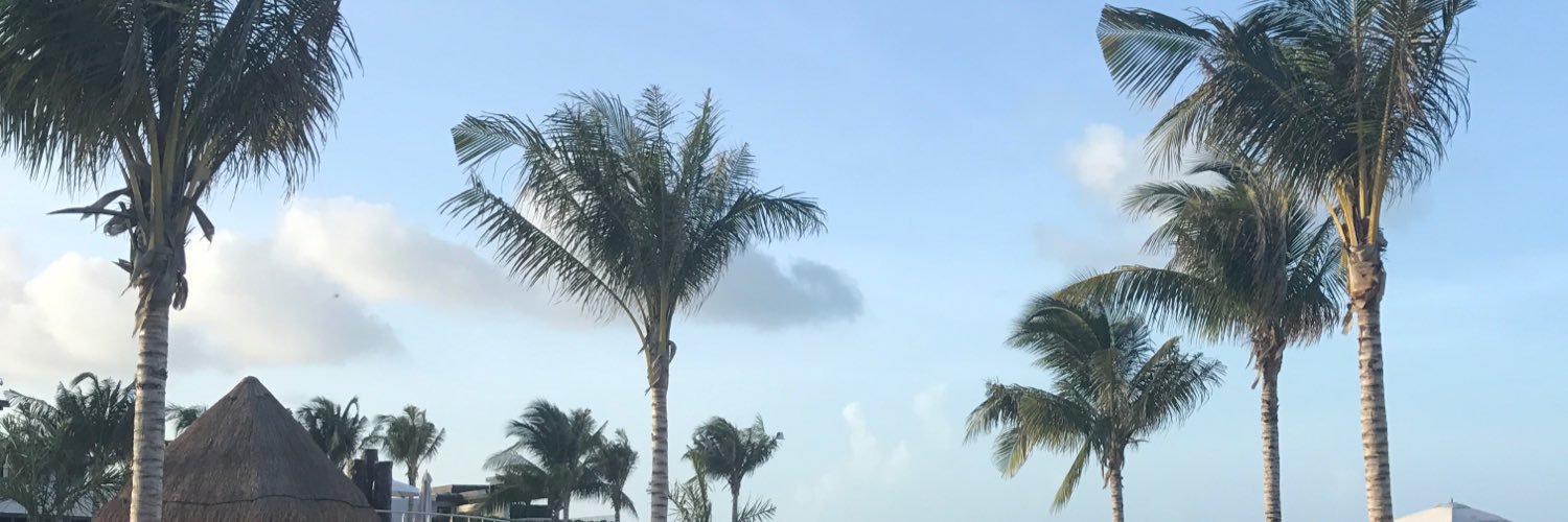 Haleyyhawthorne's profile banner image