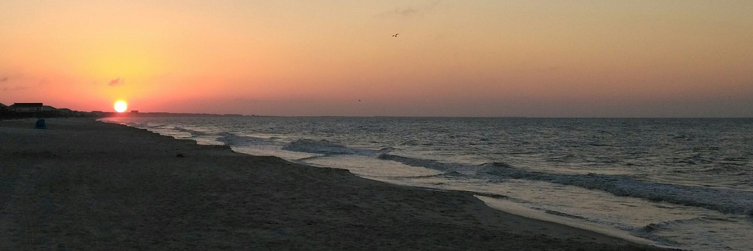 gypsy_momma's profile banner image