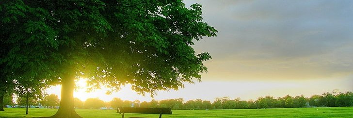 IsabellaUlysses's profile banner image