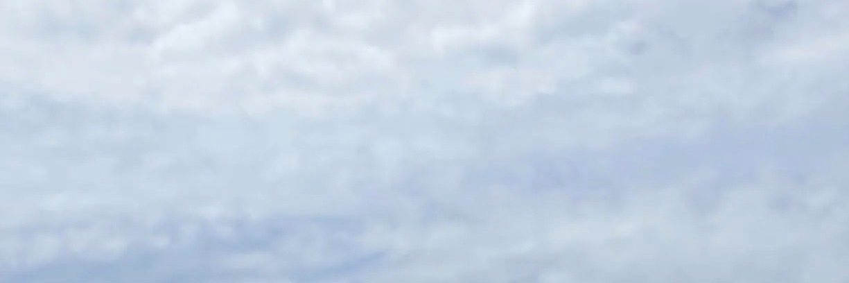 cell99zero's profile banner image
