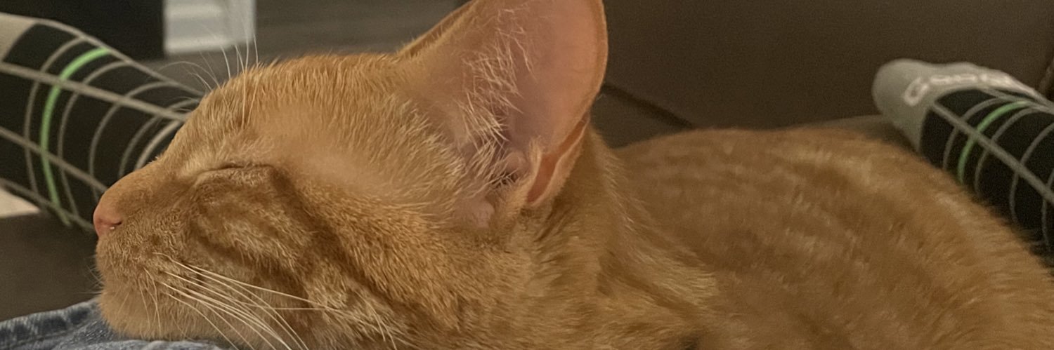 gregshipo's profile banner image