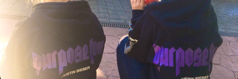 fluffybiebz's profile banner image