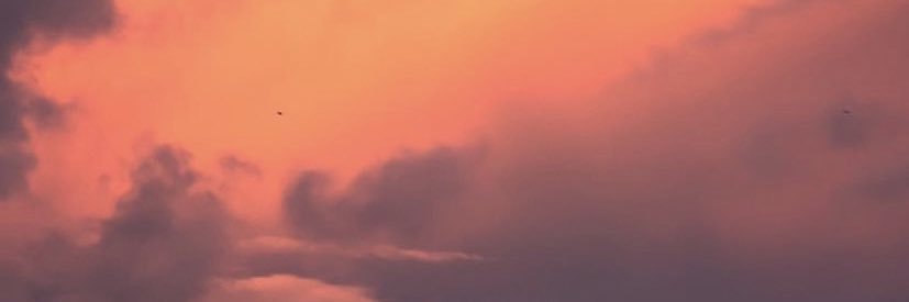 riitalerda's profile banner image