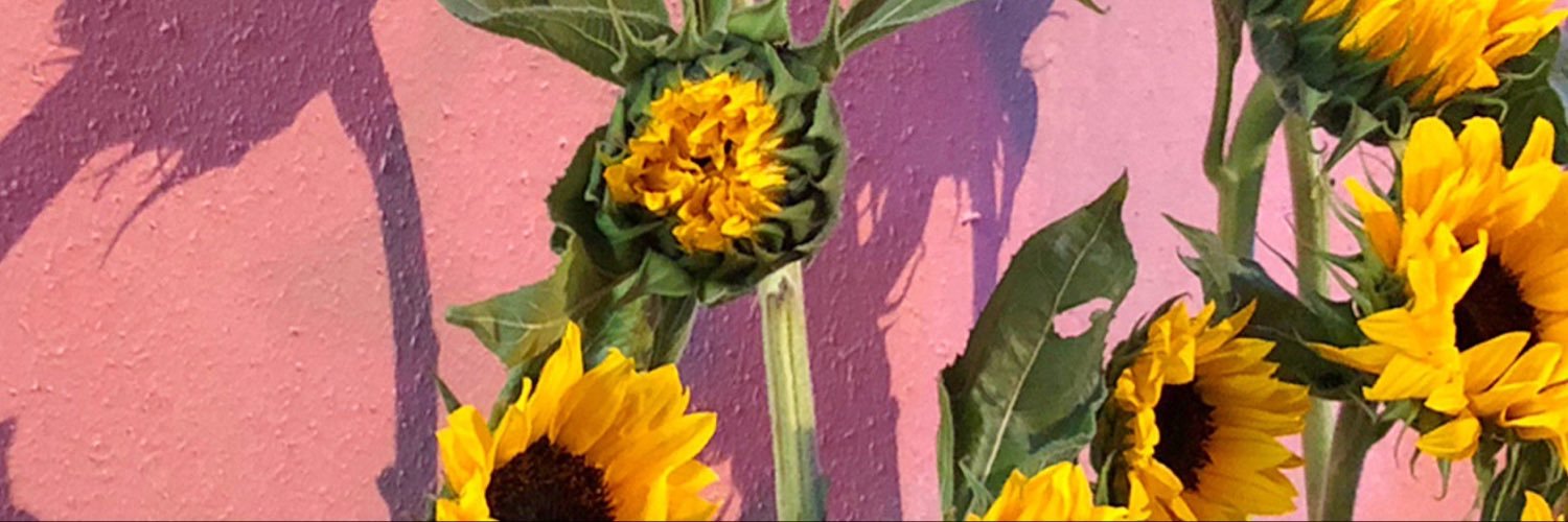 yeorlatte's profile banner image