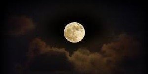 Aduki0915's profile banner image