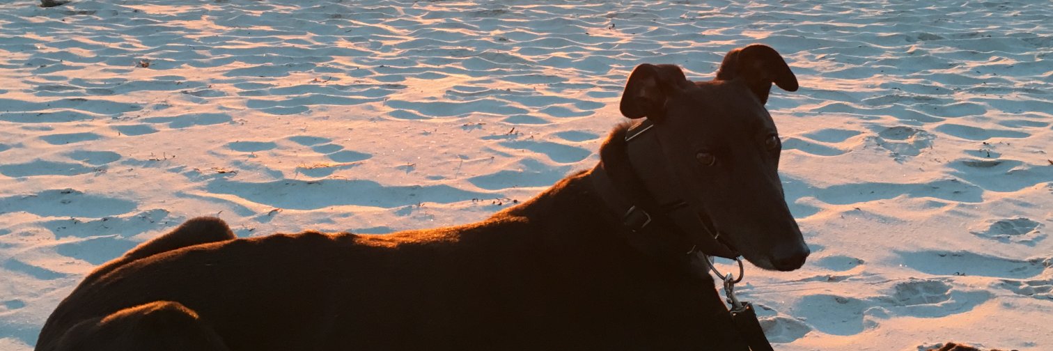 Samantha wright banner